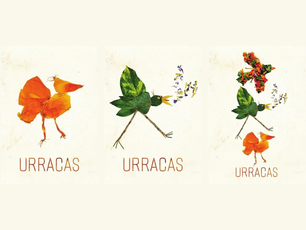 Les oiseaux d’Urracas, cinq illustrations de Nicolas Nouhaud
